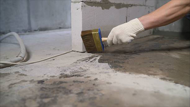 24/7 Emergency Wet Basement Repair experts in Falmouth, KY